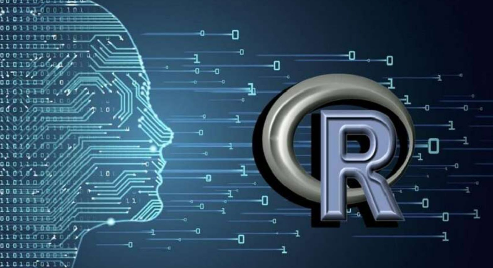 R — узкоспециализированный язык, который можно заменить Python