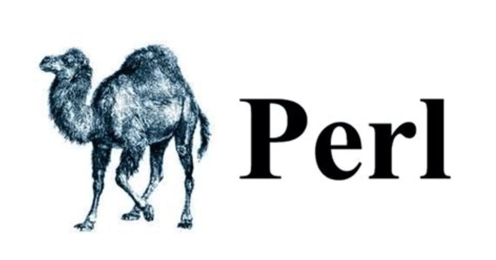 Perl — проигрывает Python и другим современным языкам